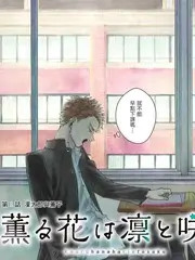 韩国动漫深夜漫画店封面
